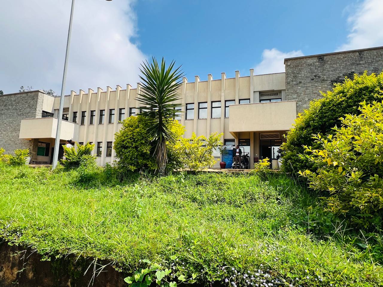 Building4