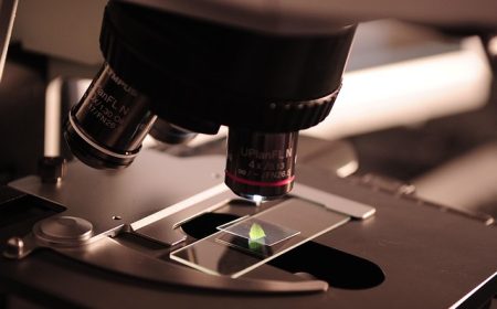 felixioncool microscope 385364 640